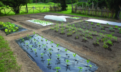 Tenax, la plasticoltura del verde