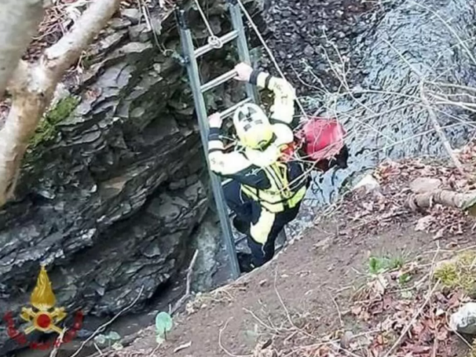 Cane rimane intrappolato nel torrente: salvato dai Vigili del fuoco