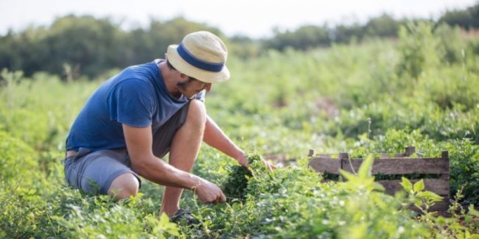 La demografia penalizza l’impresa giovanile: giù del 2,5 per cento