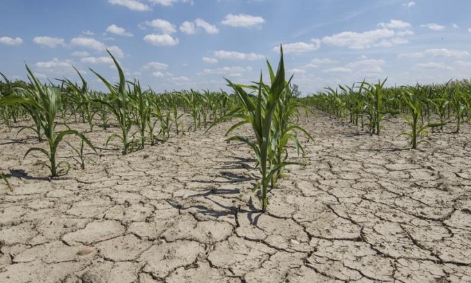 L’allarme di allevatori e agricoltori bergamaschi: «La morsa della siccità non si allenta»