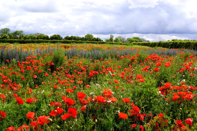 10 frasi in bergamasco sul mese di maggio