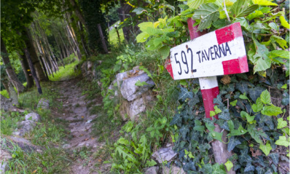 Camminata in compagnia del Gruppo Sentieri sul percorso ad anello CAI 592