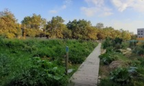 Giardini e orti a Bergamo, il Comune investe sulla manutenzione straordinaria di otto aree verdi