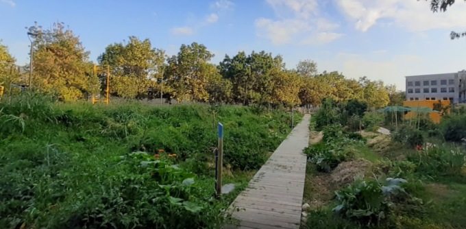 Giardini e orti a Bergamo, il Comune investe sulla manutenzione straordinaria di otto aree verdi