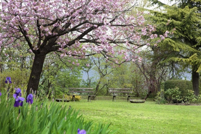 Con il Fai l’appuntamento è in giardino: tra le mete del 4 e 5 giugno c’è anche Palazzo Moroni