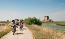 Marche in bicicletta, come esplorare il bellissimo territorio?