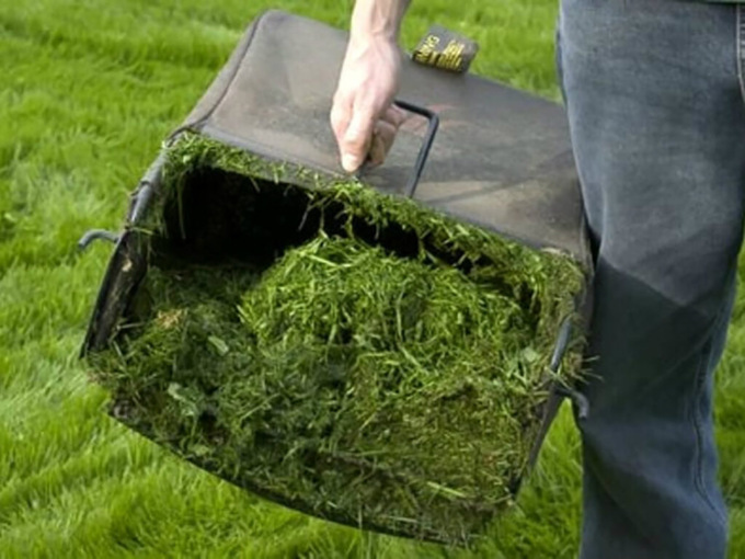 Uso agricolo degli sfalci: così si favorisce l’economia circolare