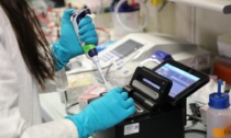 Cariplo e Telethon: 3 milioni contro le malattie genetiche rare