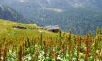 Sul riservato e poco conosciuto monte Masoni, che regala panorami a perdifiato