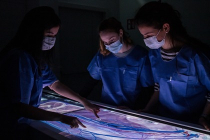 Ordine delle professioni infermieristiche di Bergamo celebra i sanitari con una giornata speciale