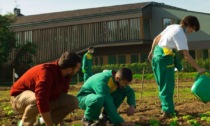 Fine del primo anno della “Scuola per lavorare nell’agroalimentare”