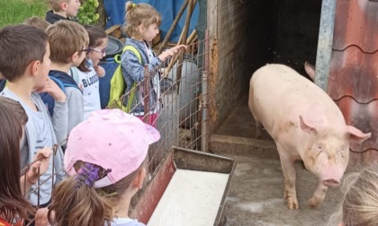 "Sentieri che uniscono", a Casnigo la scuola scopre territorio e agricoltura