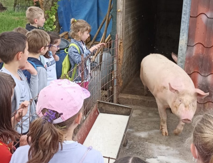 “Sentieri che uniscono”, a Casnigo la scuola scopre territorio e agricoltura