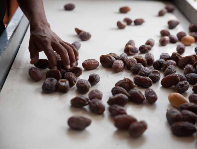 Fine settimana a Gerico per Gori e una nutrita delegazione orobica per il progetto “Jericho vale!”
