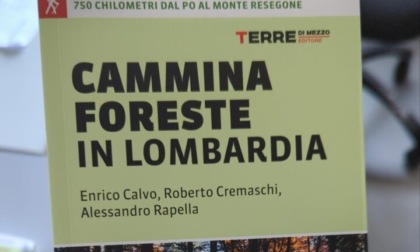“CamminaForeste in Lombardia", alla scoperta dei trekking più belli del territorio