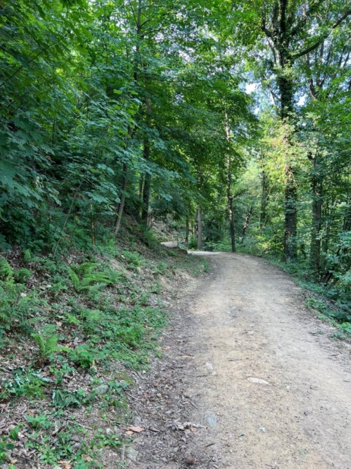 Parco dei Colli, riaperto dopo i lavori di riqualificazione il sentiero dei Vasi