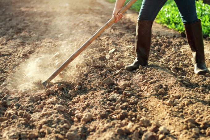 Agricoltura, in arrivo da Regione ben 9,4 milioni di euro per 1.563 aziende bergamasche