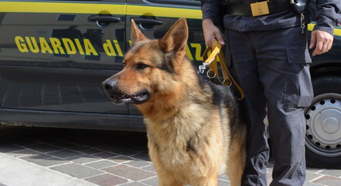 Sgominata banda di spacciatori in azione tra Bergamo e Milano