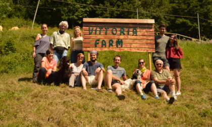 Attività per tutti i bambini alla Vittoria's Farm di Leffe