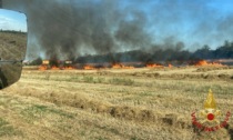 Video e foto dell'incendio nei campi a Costa di Mezzate. Coinvolta un'area di tremila mq