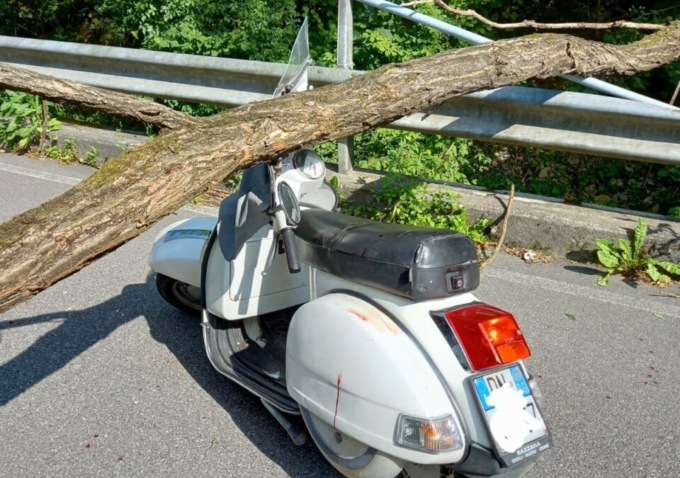 Gandino, una pianta cade e colpisce in testa un uomo di passaggio a bordo di una Vespa