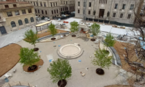 Il 21 luglio verrà inaugurato il nuovo volto di Piazza Dante. In arrivo 7 alberi davanti a Palazzo Frizzoni