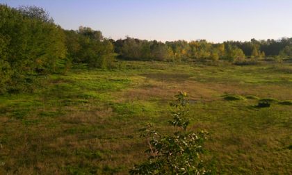 Ex cava Vailata, approvato l’accordo per la bonifica dell’area