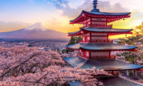 Viaggi in Giappone tra giardini, templi e città per un'estate da ricordare