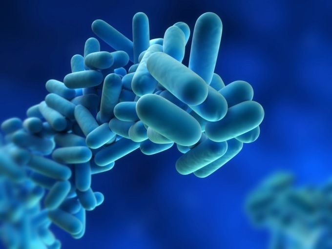 Legionella in Val Seriana, 16 casi in totale. Indagini di Ats in case, condizionatori, fontane