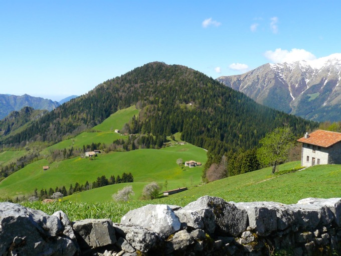 Fauna e flora dei prato-pascoli orobici: un corso per studenti e appassionati al Rifugio Gherardi
