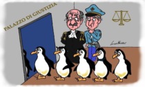 Il Tribunale è una serra, ma per comprare quindici pinguini ci vuole un ministero