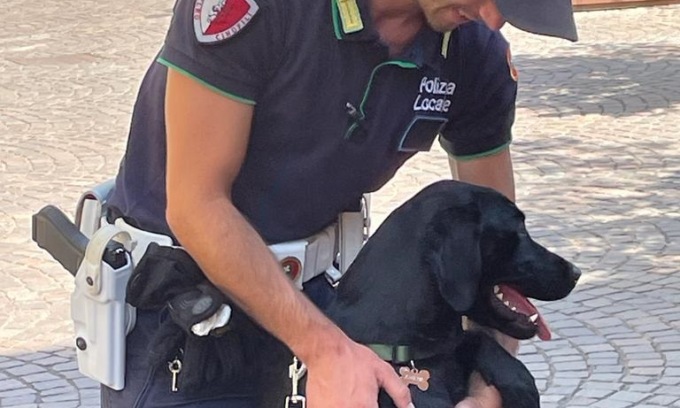 Athena, nuovo cane poliziotto di Treviglio, ha piazzato il suo primo colpo: trovata droga su un’auto