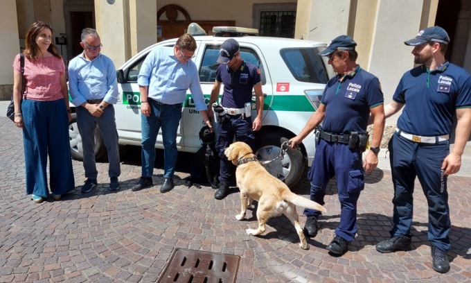 Treviglio, il cane-agente Trevi va in pensione e passa il testimone ad Athena