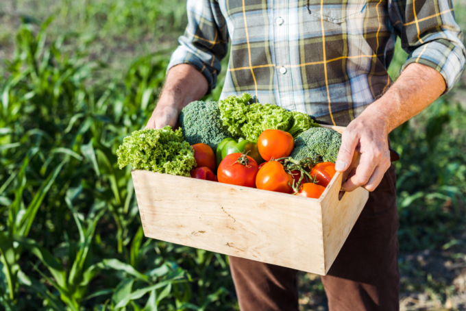 In Bergamasca cresce l’agricoltura biologica, ma preoccupa il calo dei consumi