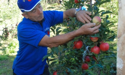 Competenza e passione: i frutticoltori brembani ricordano Andrea Salvi