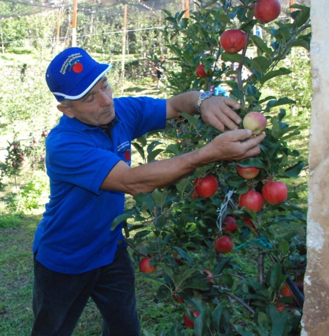Competenza e passione: i frutticoltori brembani ricordano Andrea Salvi
