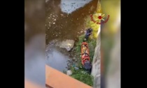 Ranica, donna finisce in un canale: il video del salvataggio dei Vigili del Fuoco di Bergamo