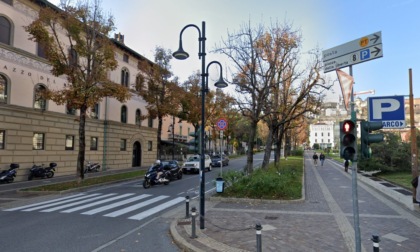 Le piante lungo viale Papa Giovanni e viale Vittorio Emanuele stanno male, la Lega chiede provvedimenti