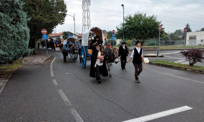 Festival del pastoralismo, i bergamini invadono la Bassa