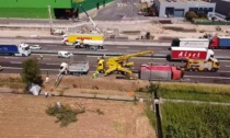 Traffico in tilt lungo l'autostrada A4 dopo Brescia: tir si ribalta e perde un carico di... mucche