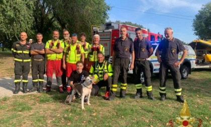 Cane finisce nel fiume, salvato dai vigili del fuoco