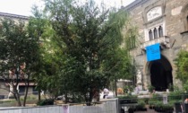 Piazza Vecchia sta tornando verde: al via i lavori per “I maestri del paesaggio”