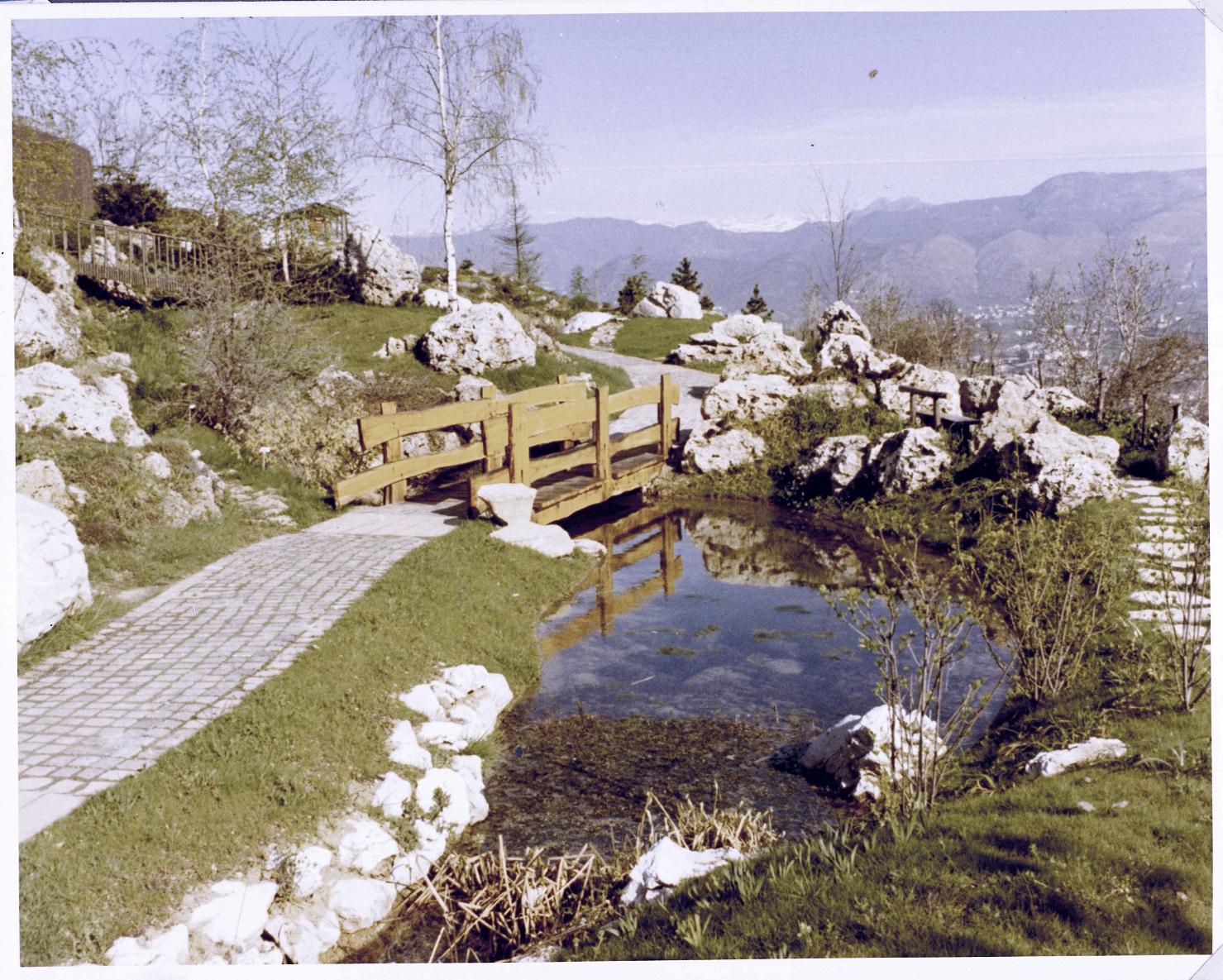 1972 B foto archivio Orto Botanico di Bergamo