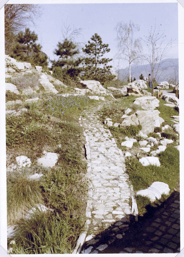 1972 d foto archivio Orto Botanico di Bergamo