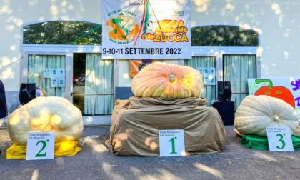 A Sale Marasino, sul lago d'Iseo, è stata "eletta" la zucca più grande d'Italia: pesa 703 kg