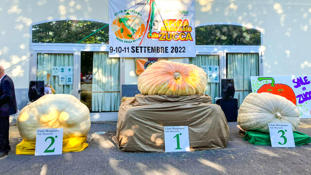 A Sale Marasino, sul lago d’Iseo, è stata “eletta” la zucca più grande d’Italia: pesa 703 kg