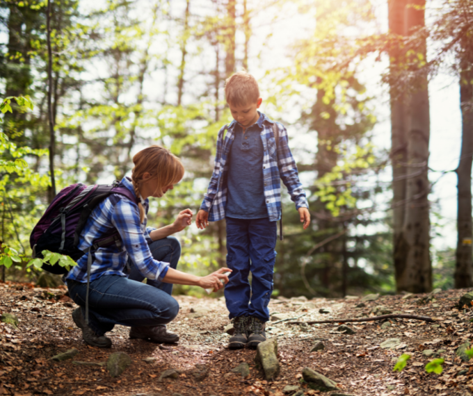 Come evitare le pericolose punture di zecca