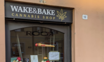 Treviglio, nel negozio di cannabis light si spacciava anche droga vera: due arrestati