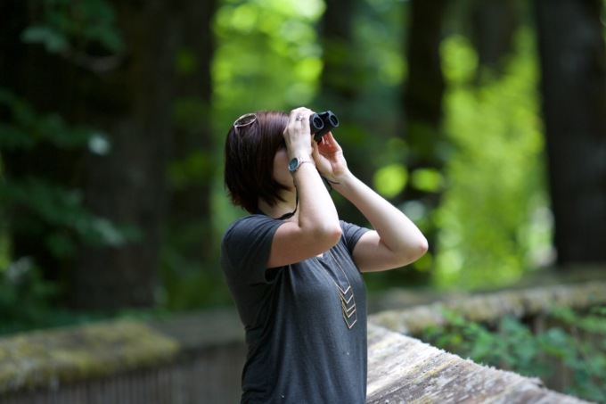 Passione birdwatching: in provincia due incontri in occasione dell’Eurobirdwatch