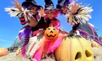 Halloween arriva anche a Leolandia: porte aperte fino alle 21.30 tra streghe e spettacoli